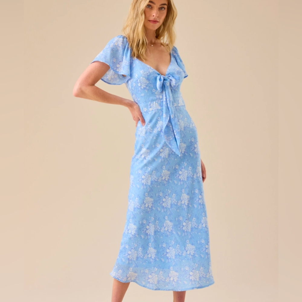 Altar'd State Dress NWT Size L Sophia Floral Maxi Baby Blue Long Flare Cottage